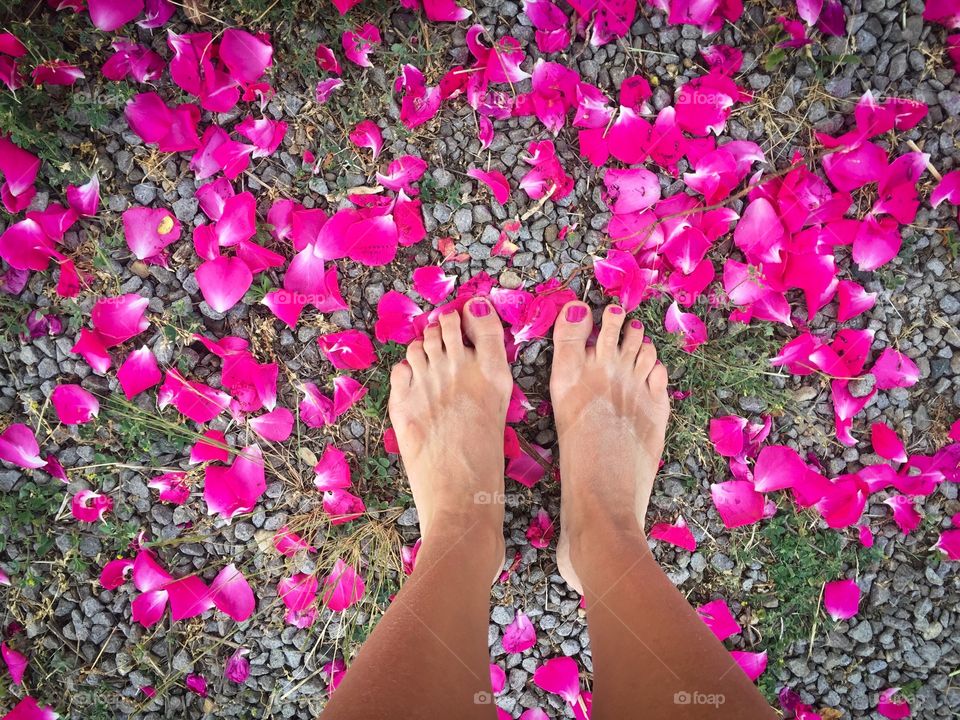 Woman's feet surrounded by pink petal roses fallen on the ground