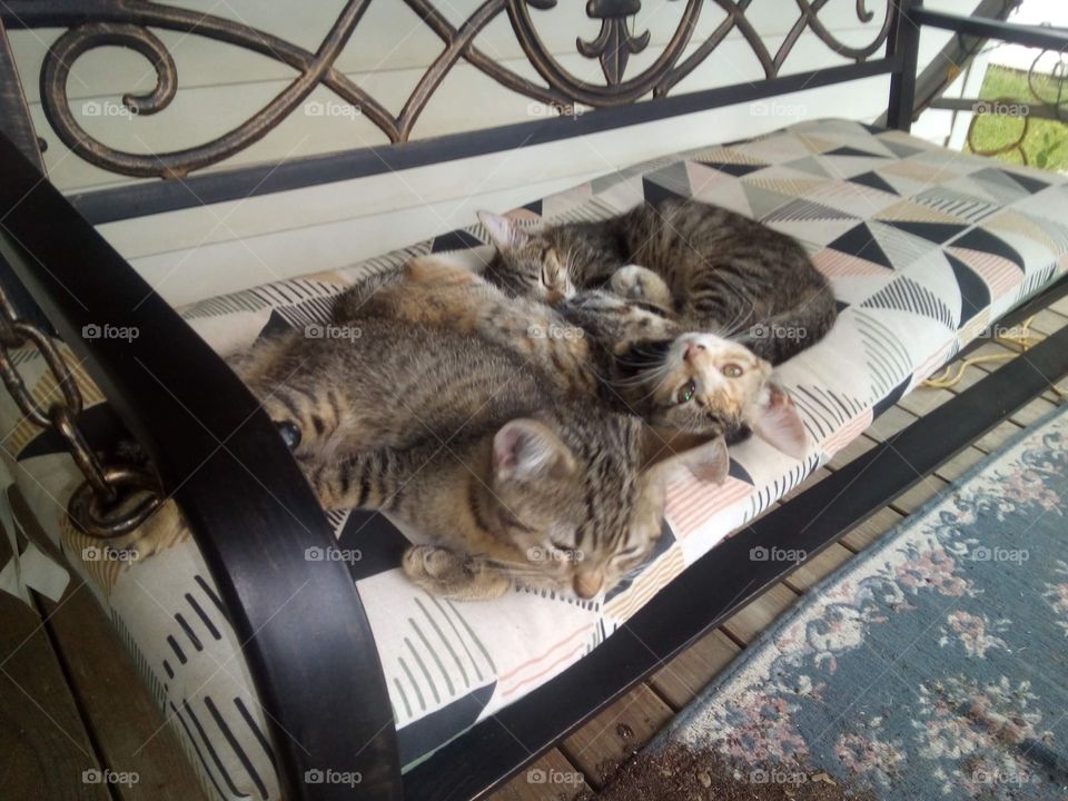 just a swinging on the front porch these crazy babies are enjoying an afternoon nap.