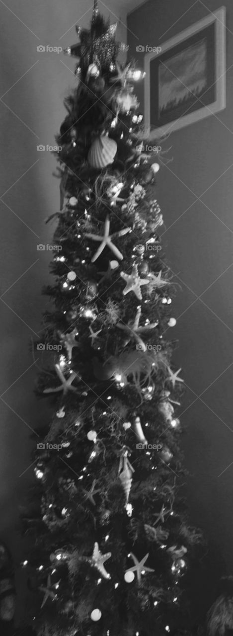 Christmas Tree BW