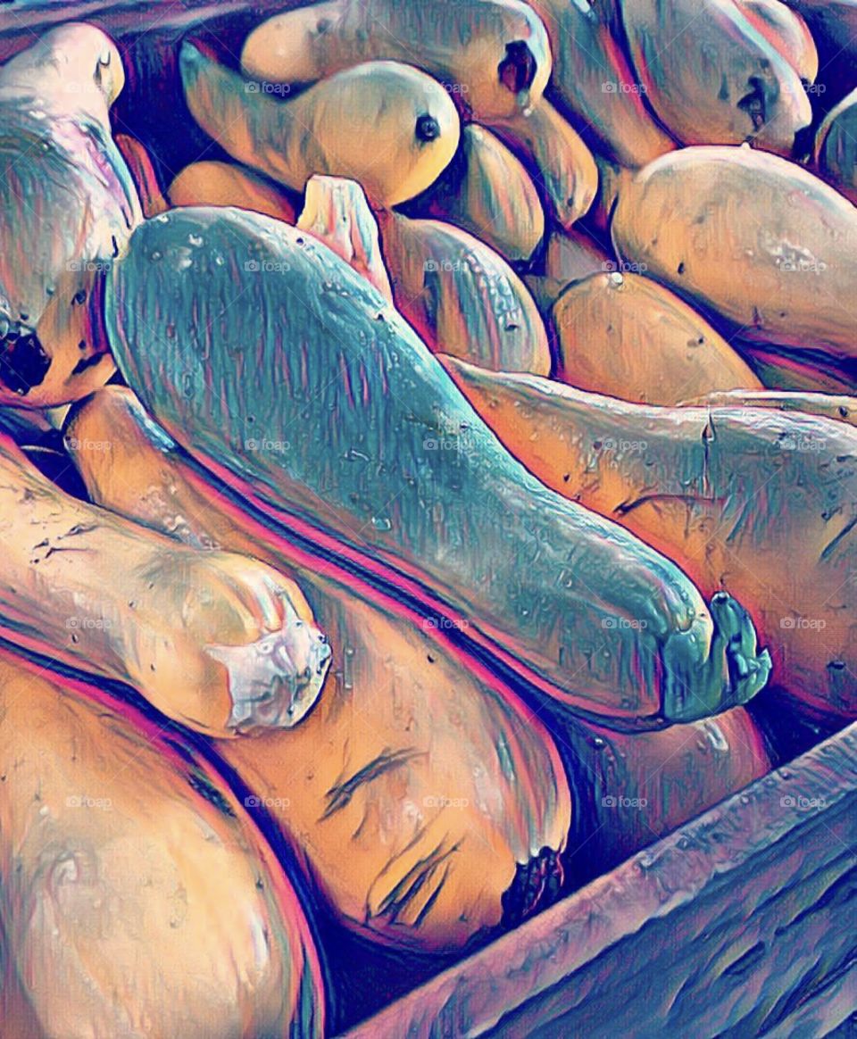 Abstract summer squash 