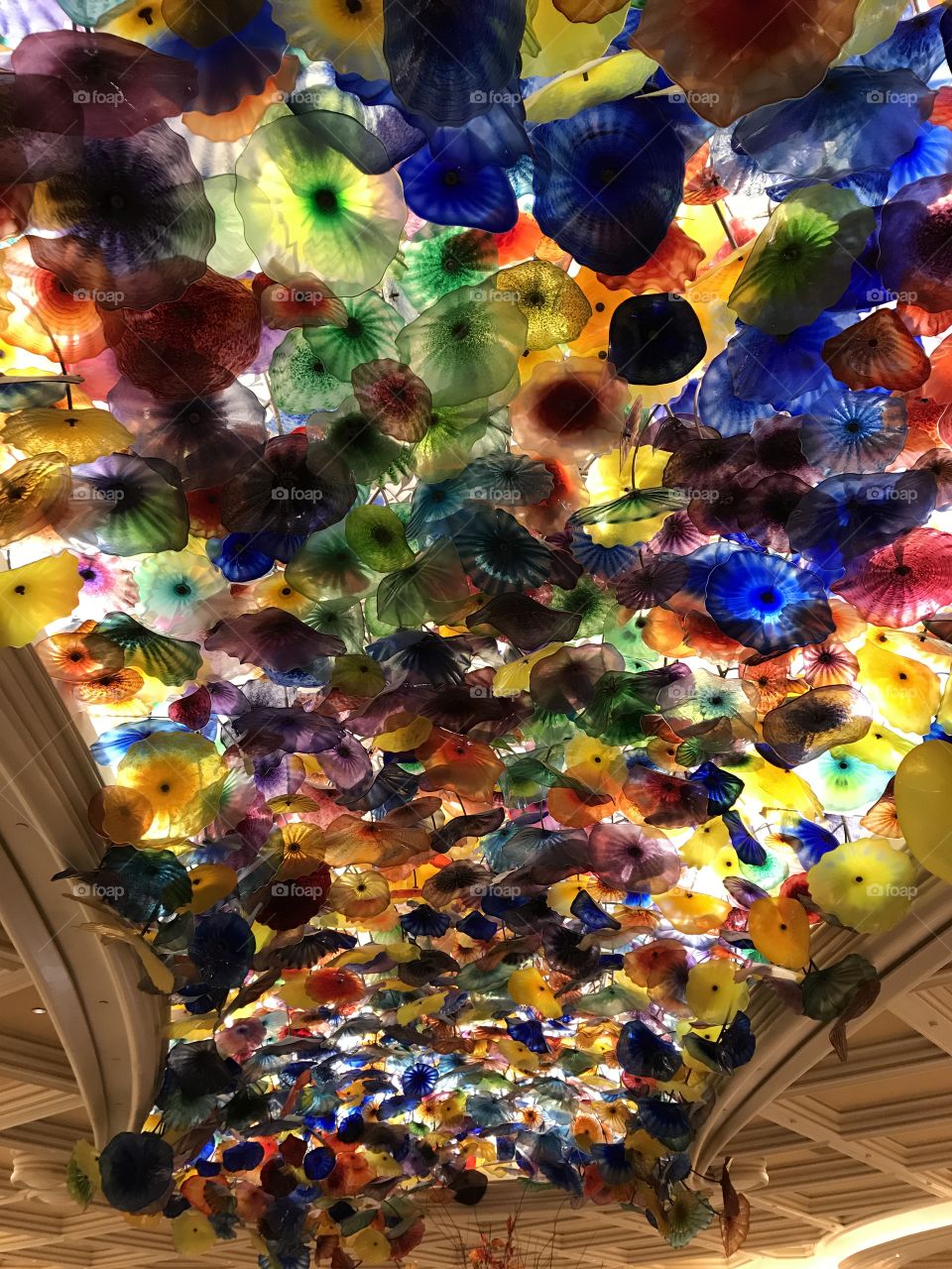 Glass Flowers Array set upon the ceiling as decoration. 