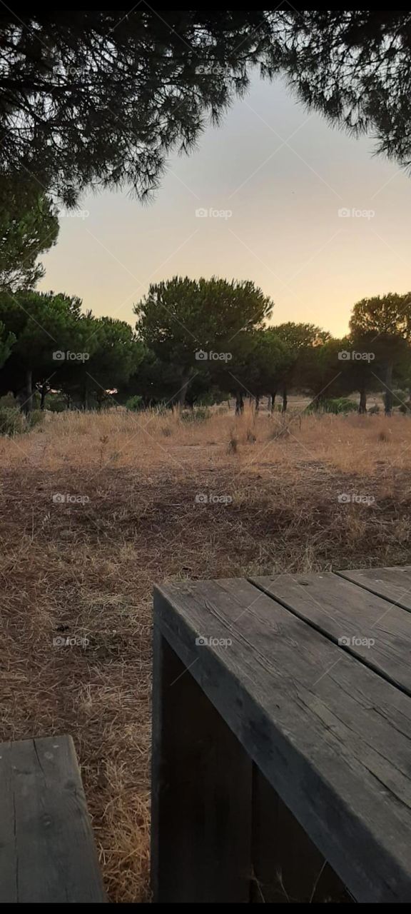 puerta a la naturaleza