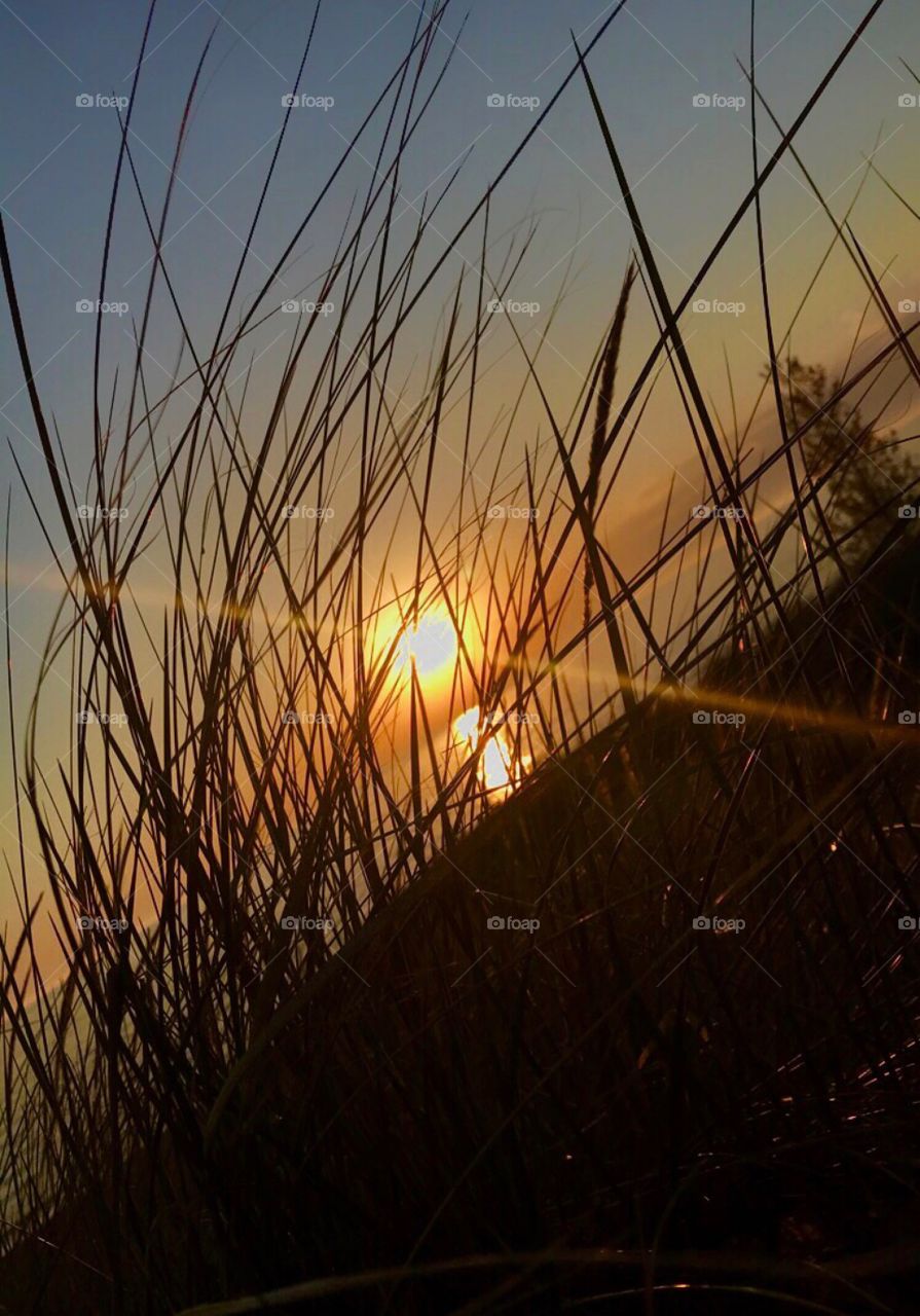 Sunset over Lake Michigan behind beach grass—taken in Ludington, Michigan 