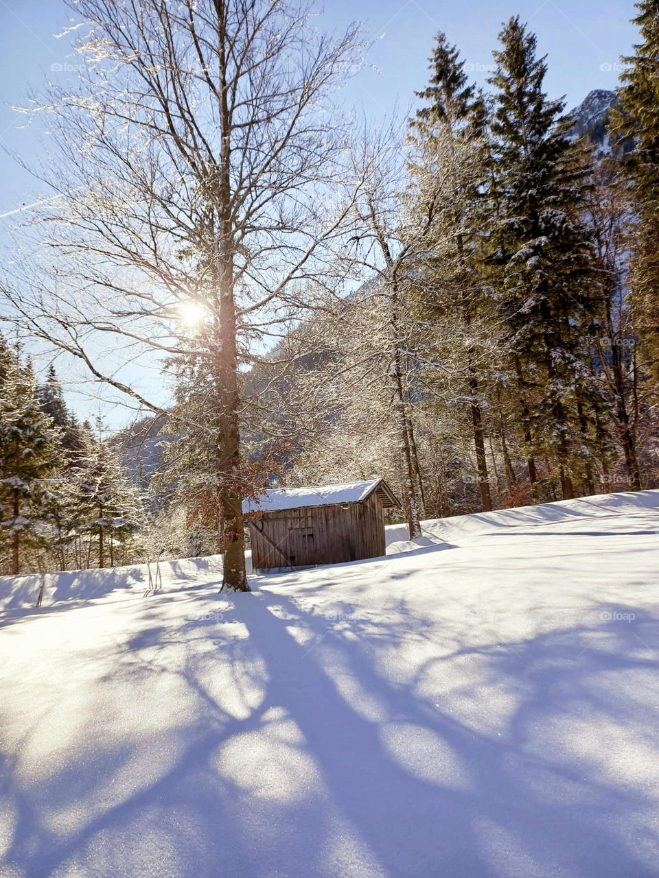 Hut in Snow-covered Mountains