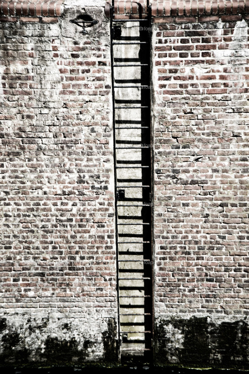 Ladder