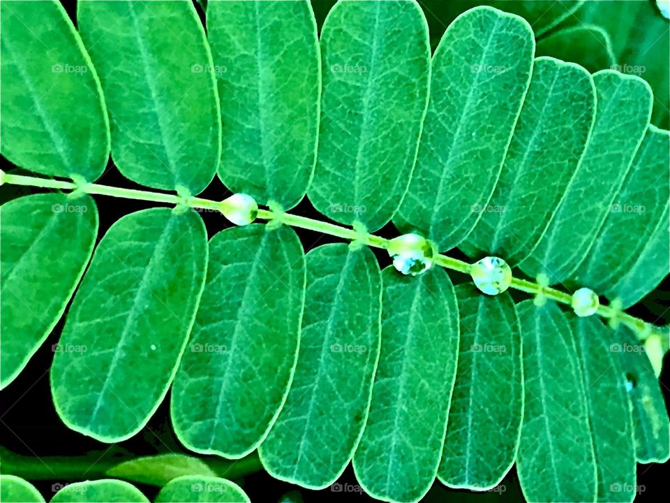 Upload the photo of the month July