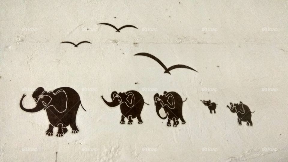 child wall paper small elephant's