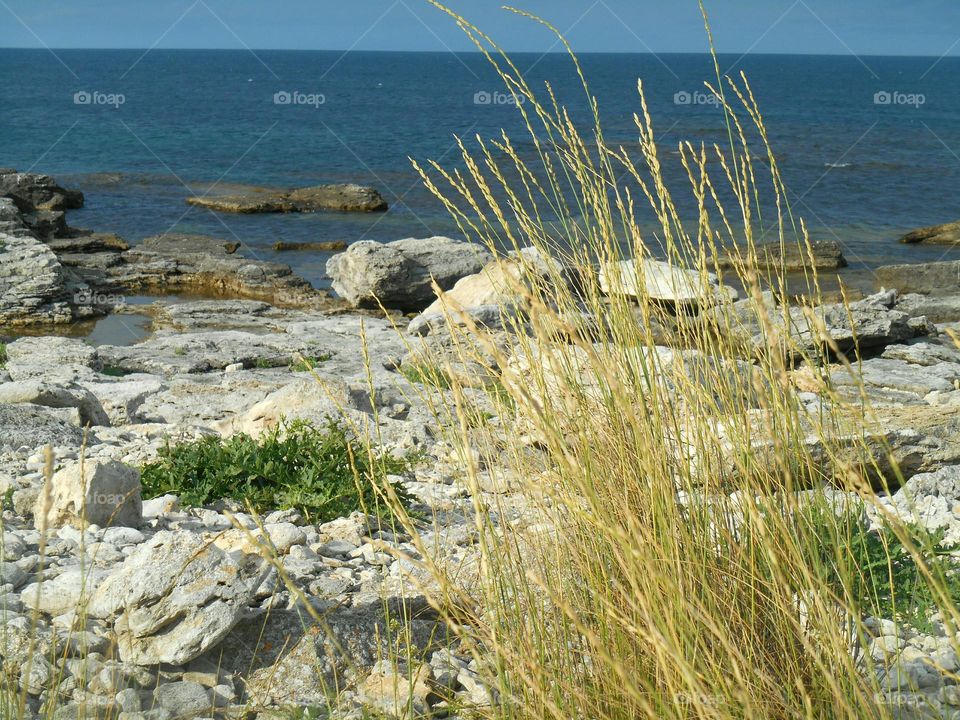 summer sea stone shore view from the ground