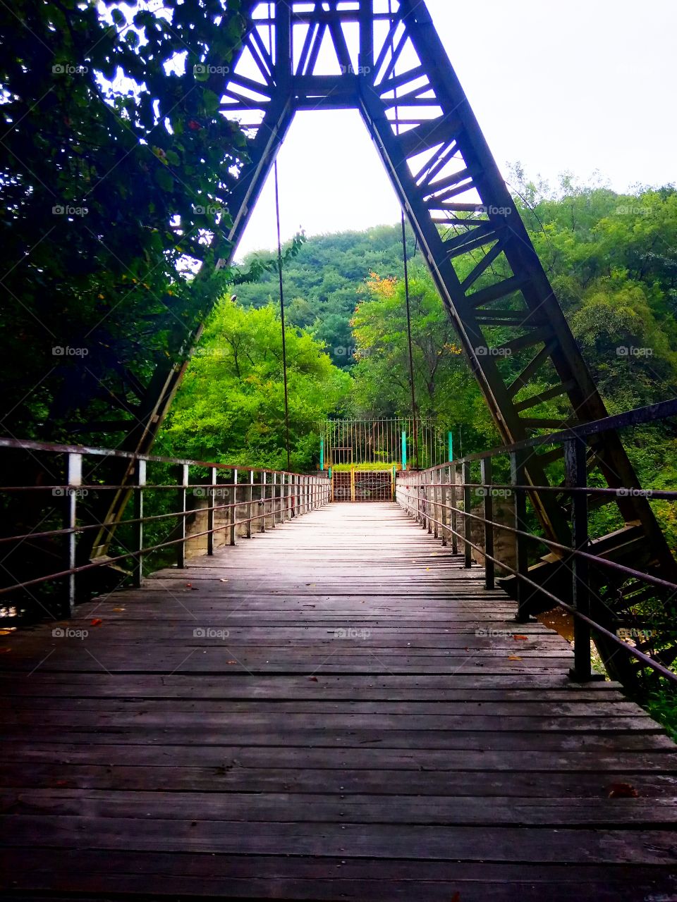 The old bridge in the park zone