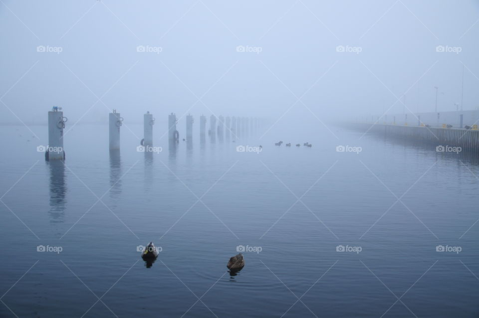 foggy morning in port at the Baltic sea coast in Poland