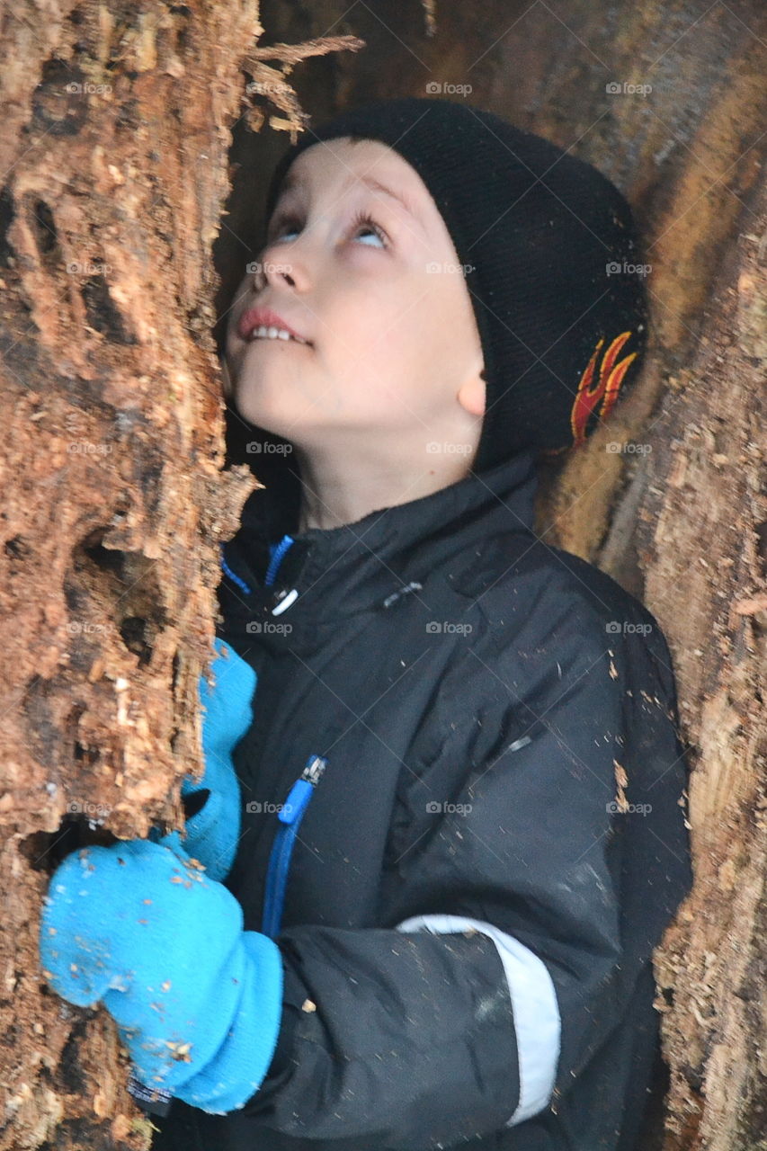 Boy hiding in a tree