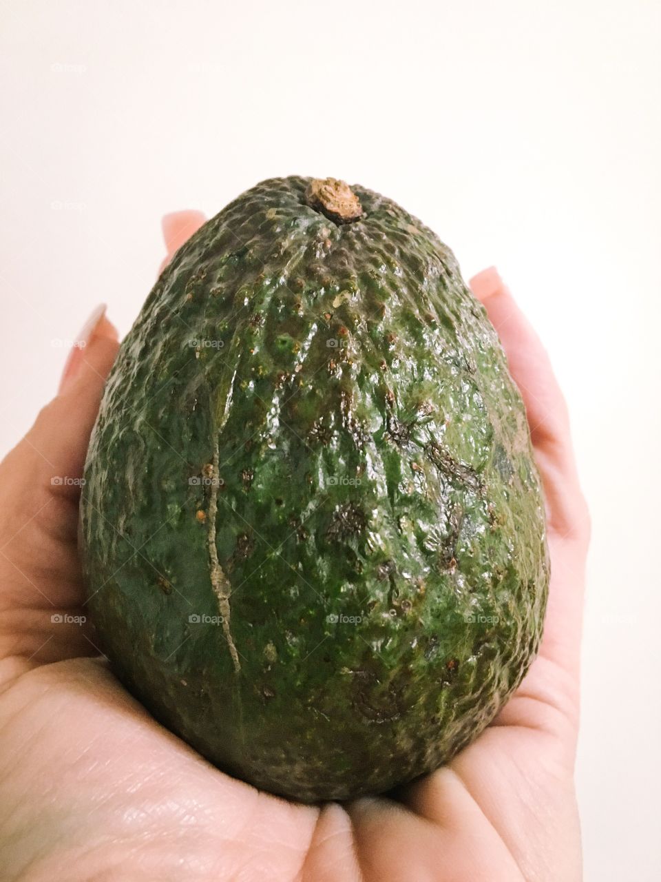 Avocado 