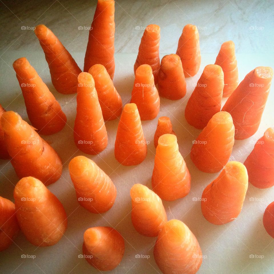Carrot Forrest 