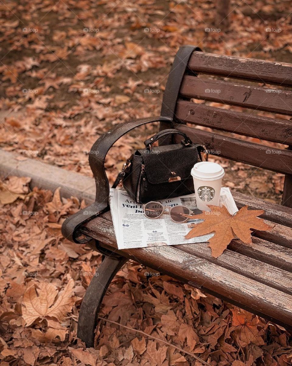 I like the Fall. I like to sit on a park bench with my coffee ! I want to hear the wind that blows between the branches of the trees! I want to hear the rustle of colorful leaves under the feet of passers by... And breathe the smell of rain..