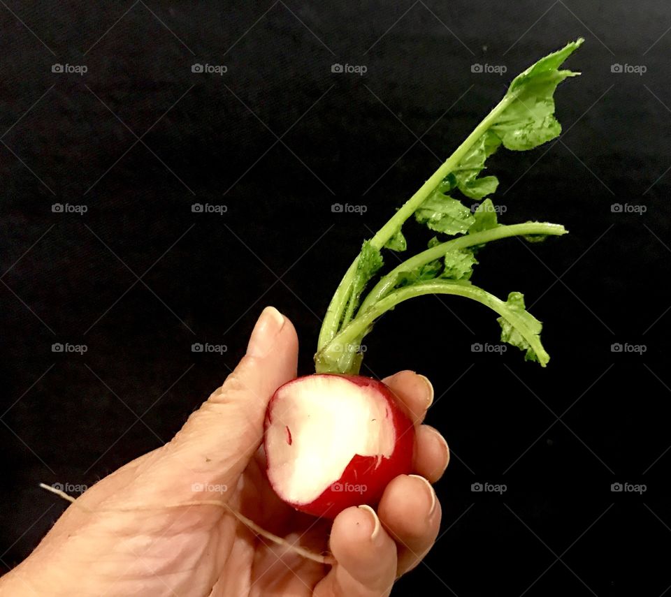 Bitten Radish