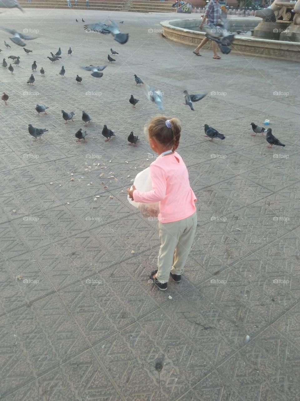 Pretty young girl feeds pigeons