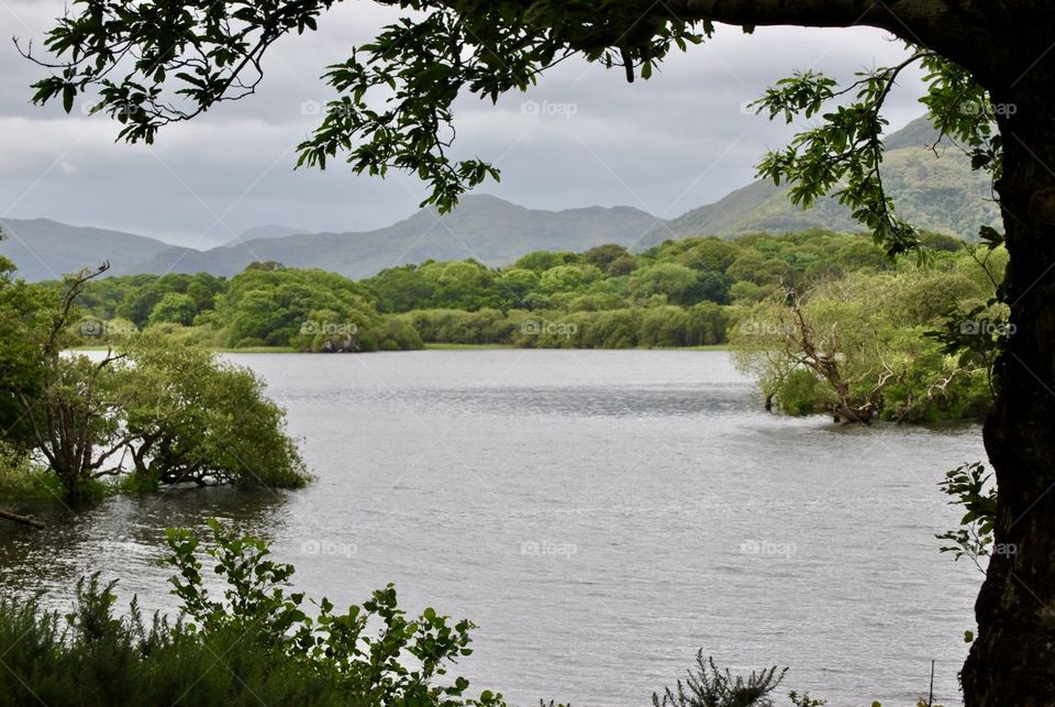 Killarney National Park view