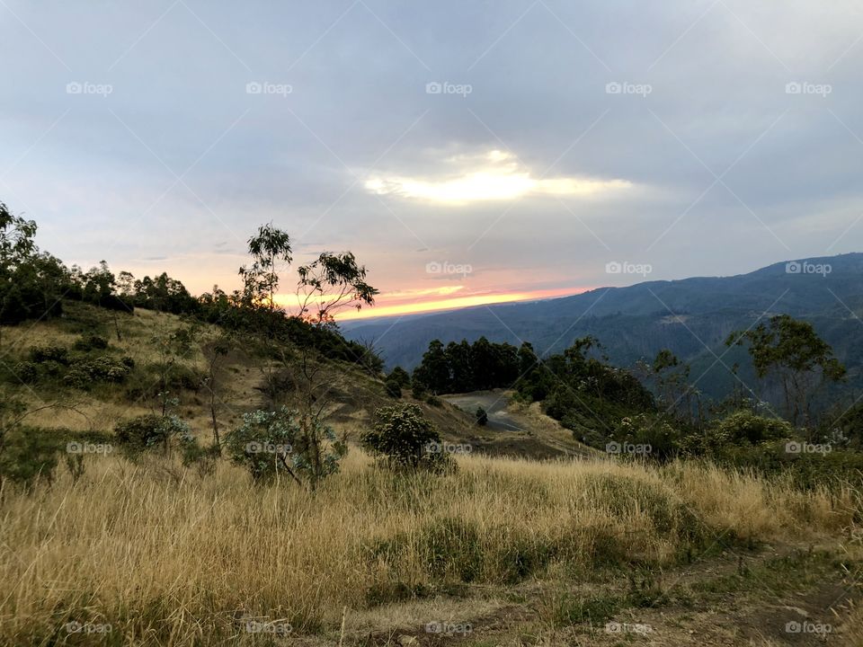 Views at Mount Tazzie 