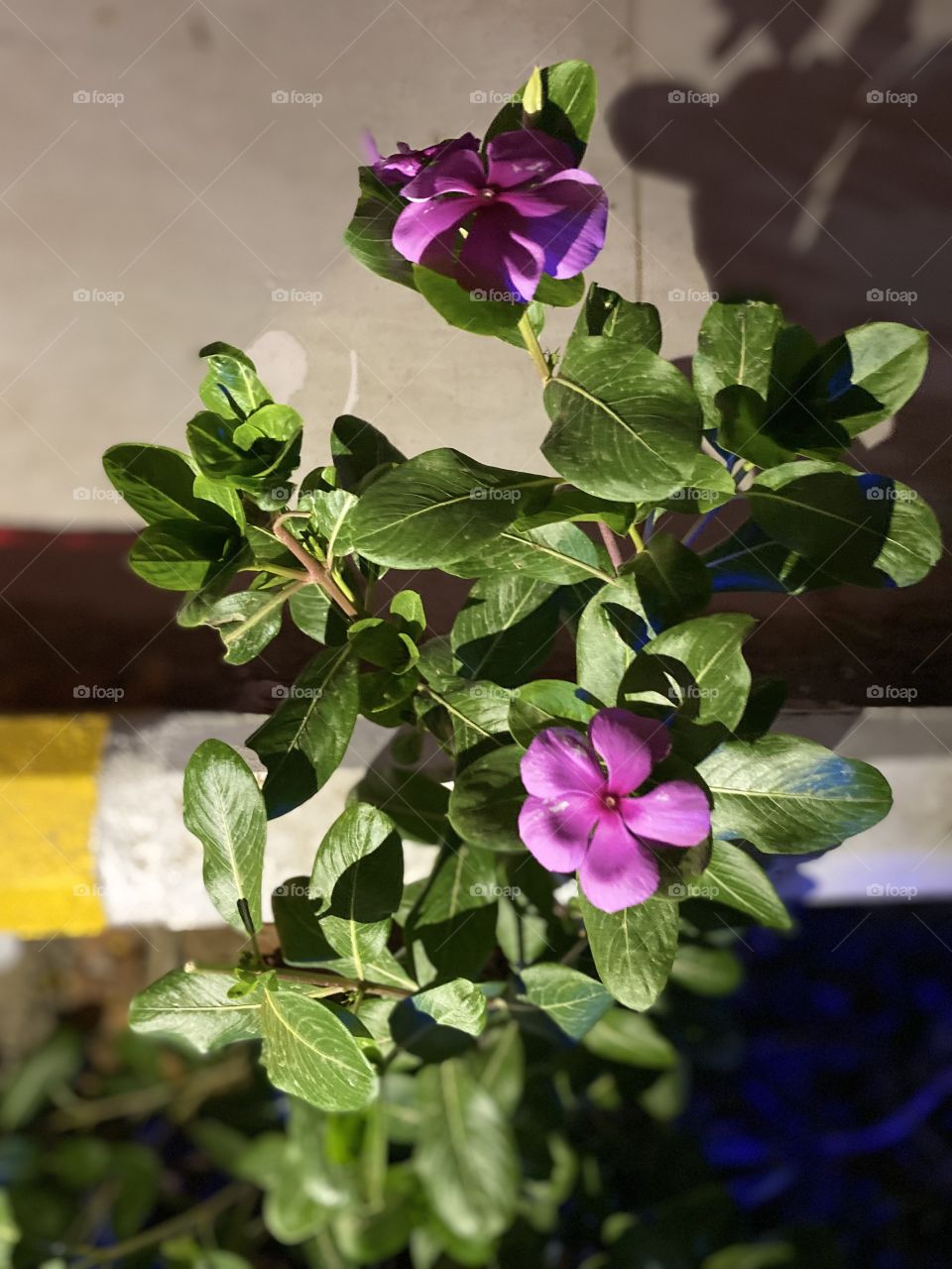 Amazing photo for home in Jeddah city 🏡