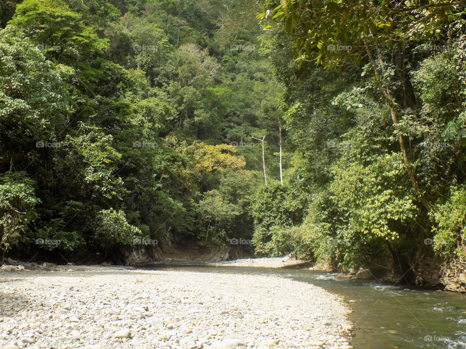 The River in the jungles of aceh halimon