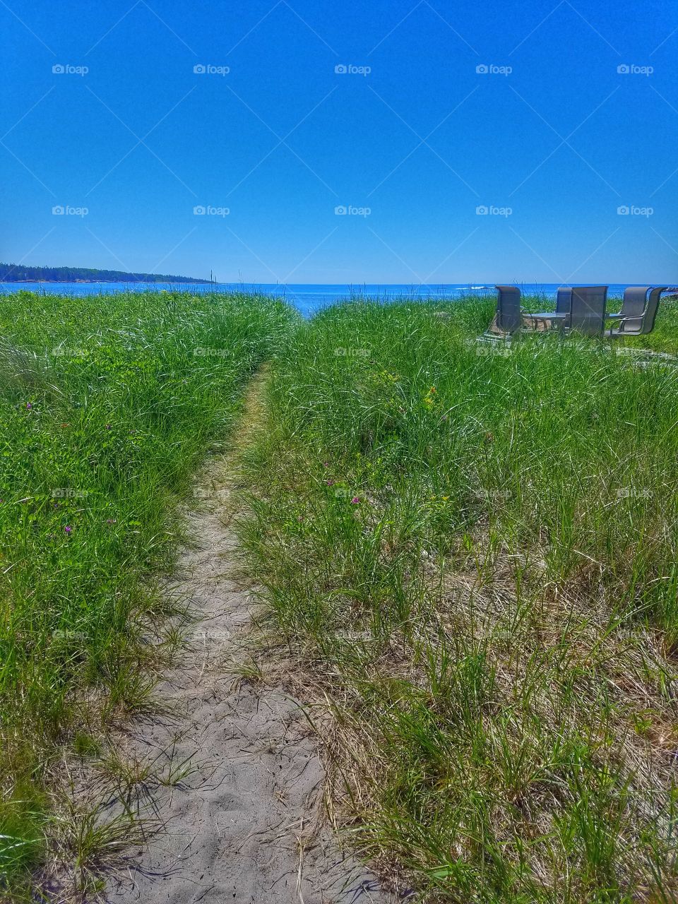 Beach Patio and Path