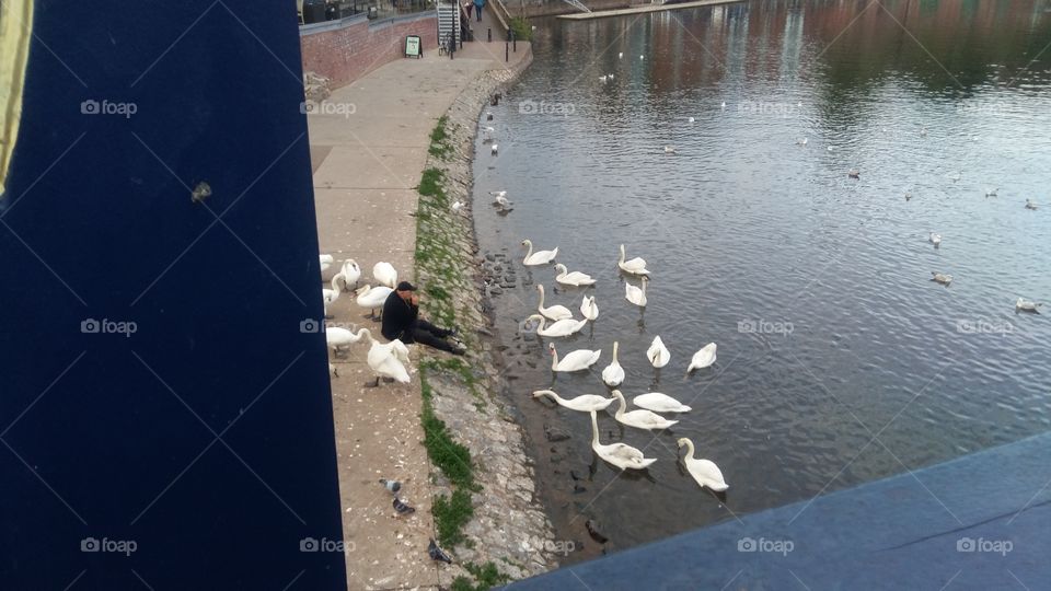 A man with his birds