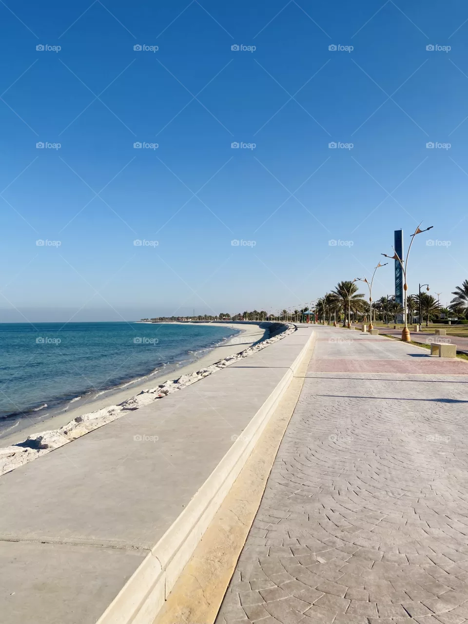 The beach 