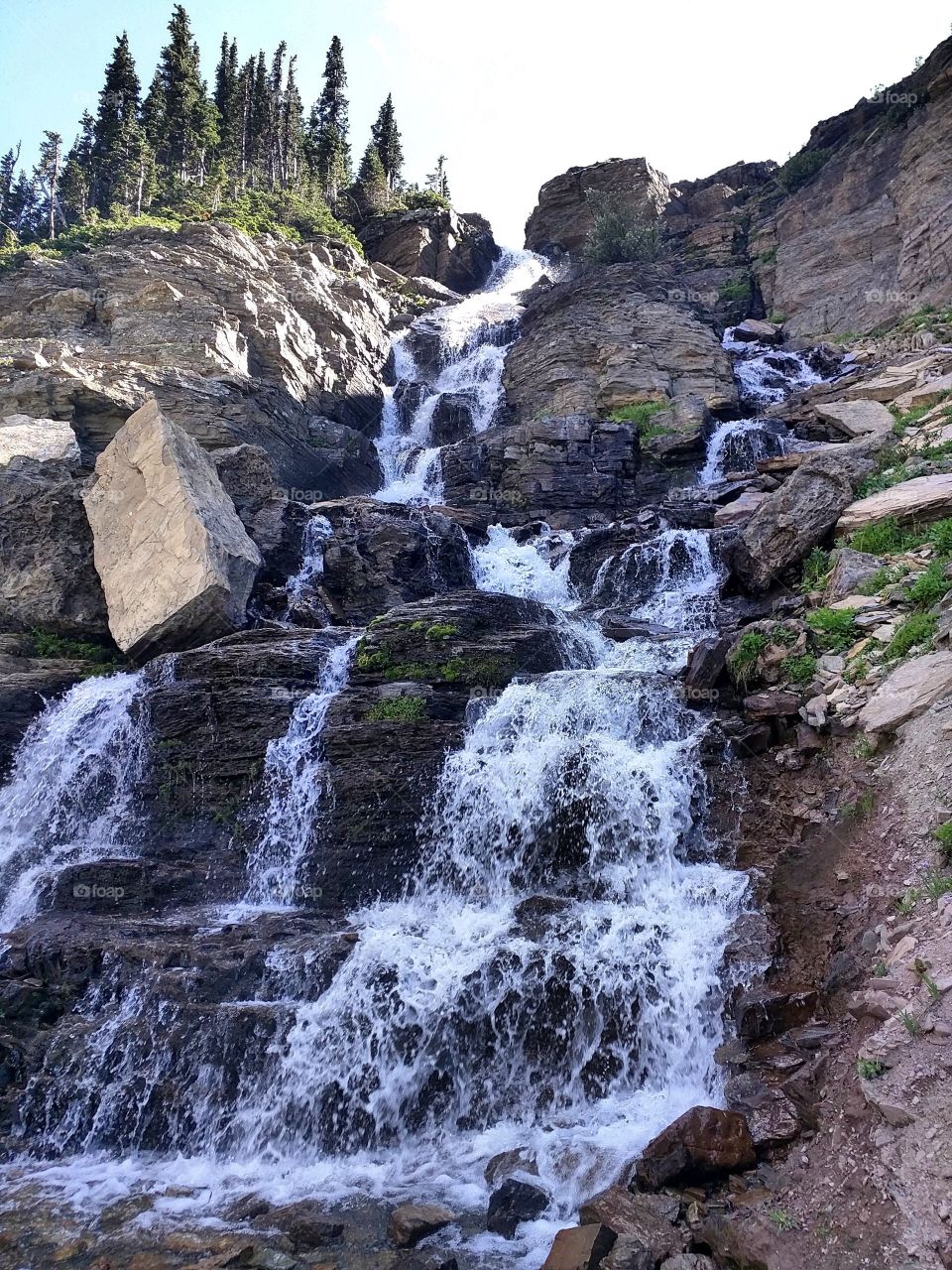 Spring, Waterfall, Glacier National Park, MT