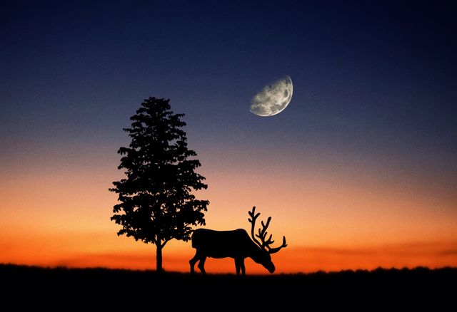 Tree , deer & moon