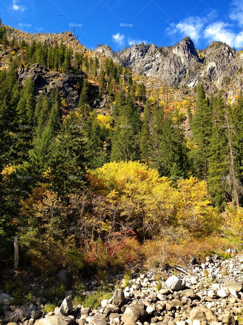 Nature, Wood, Mountain, Landscape, Tree