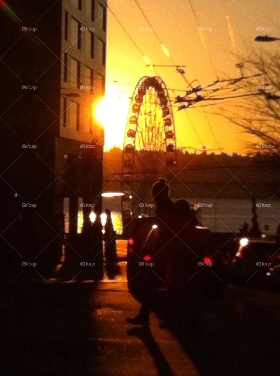 Ferris wheel seattle