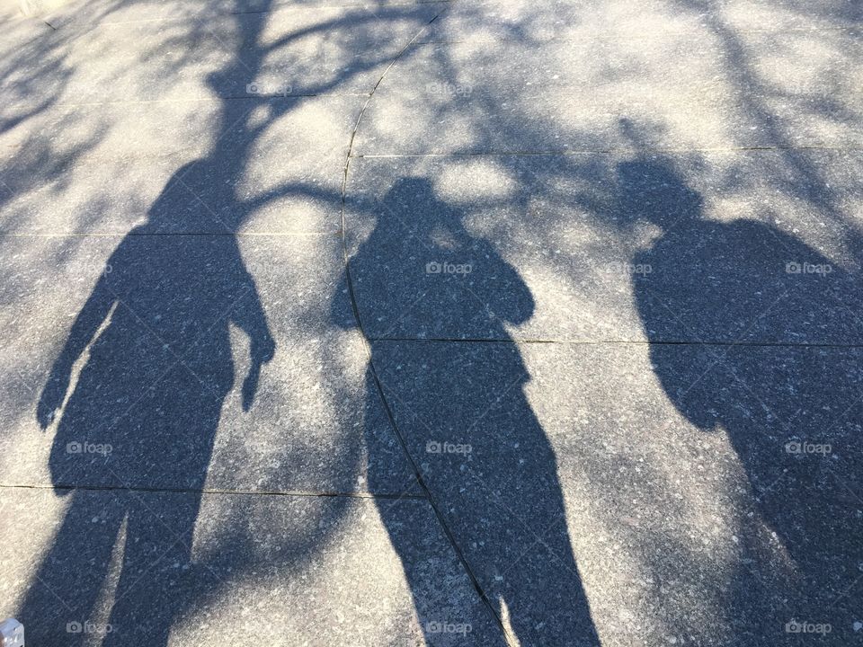 3 ladies in a shade