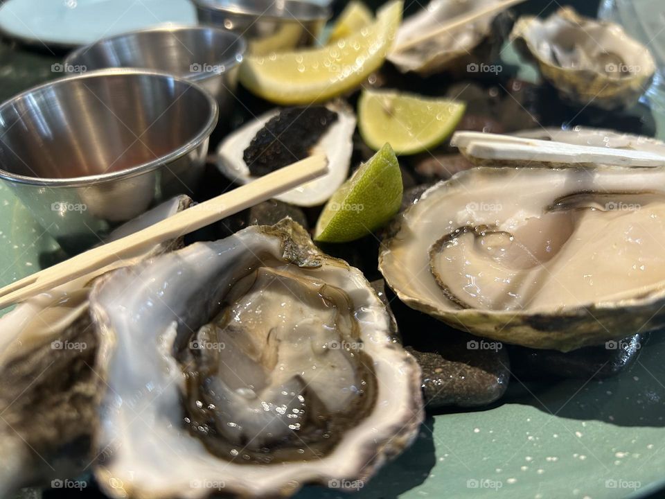 Oysters 