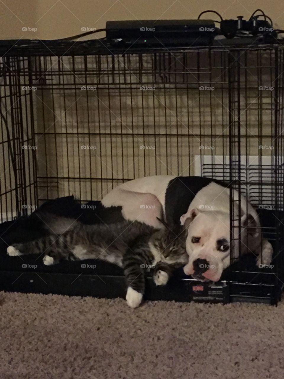 At least they're in the time out together 