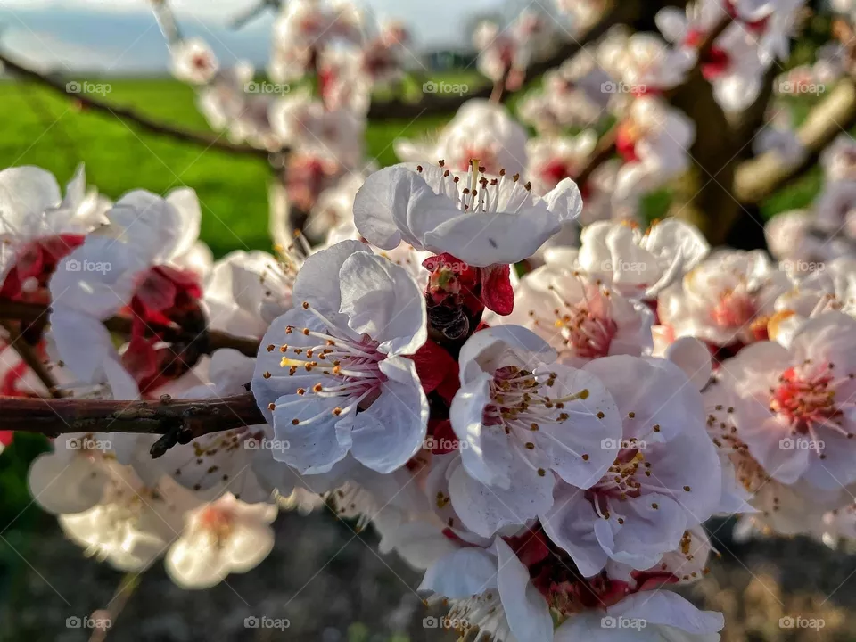It is a spring 