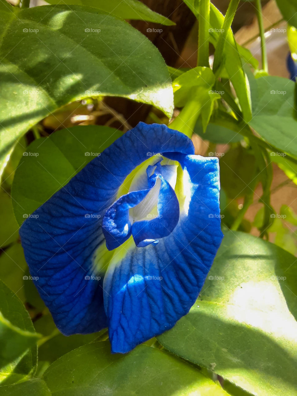 What makes you smile