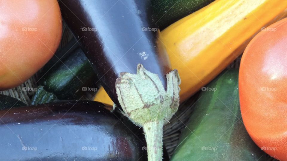 Fresh deconstructed Ratatouille