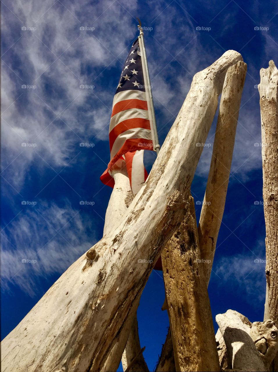 American Flag in Driftwood 