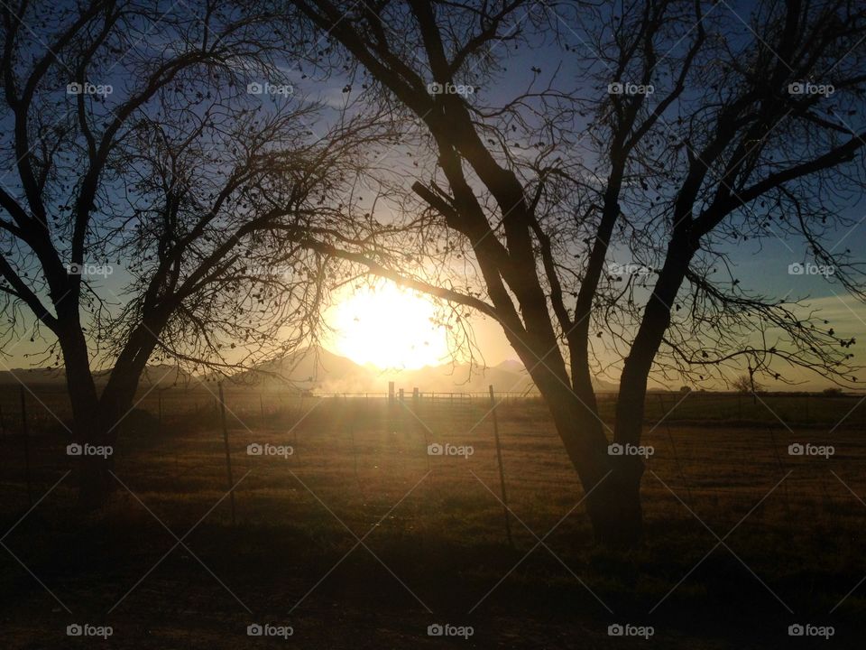 Sun setting through the trees & mountains. Queen Creek, Arizona. 