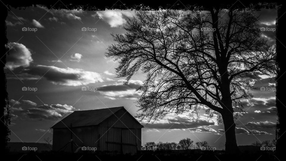 A Very Windy Cold Spring Day