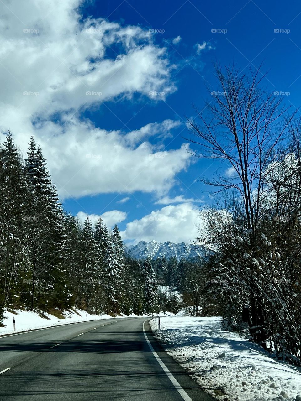 On the Road to the Austrian Alps