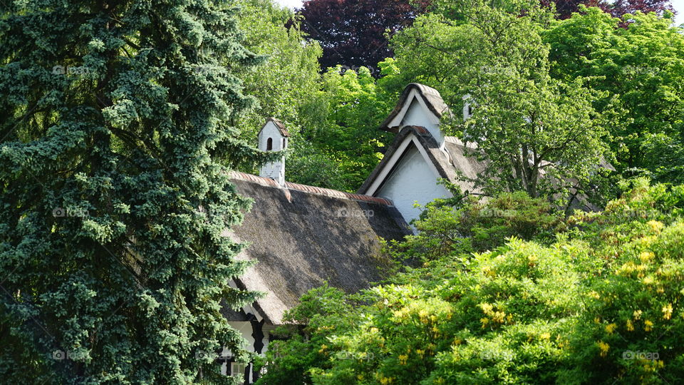 House in Middelheimpark in Antwerp