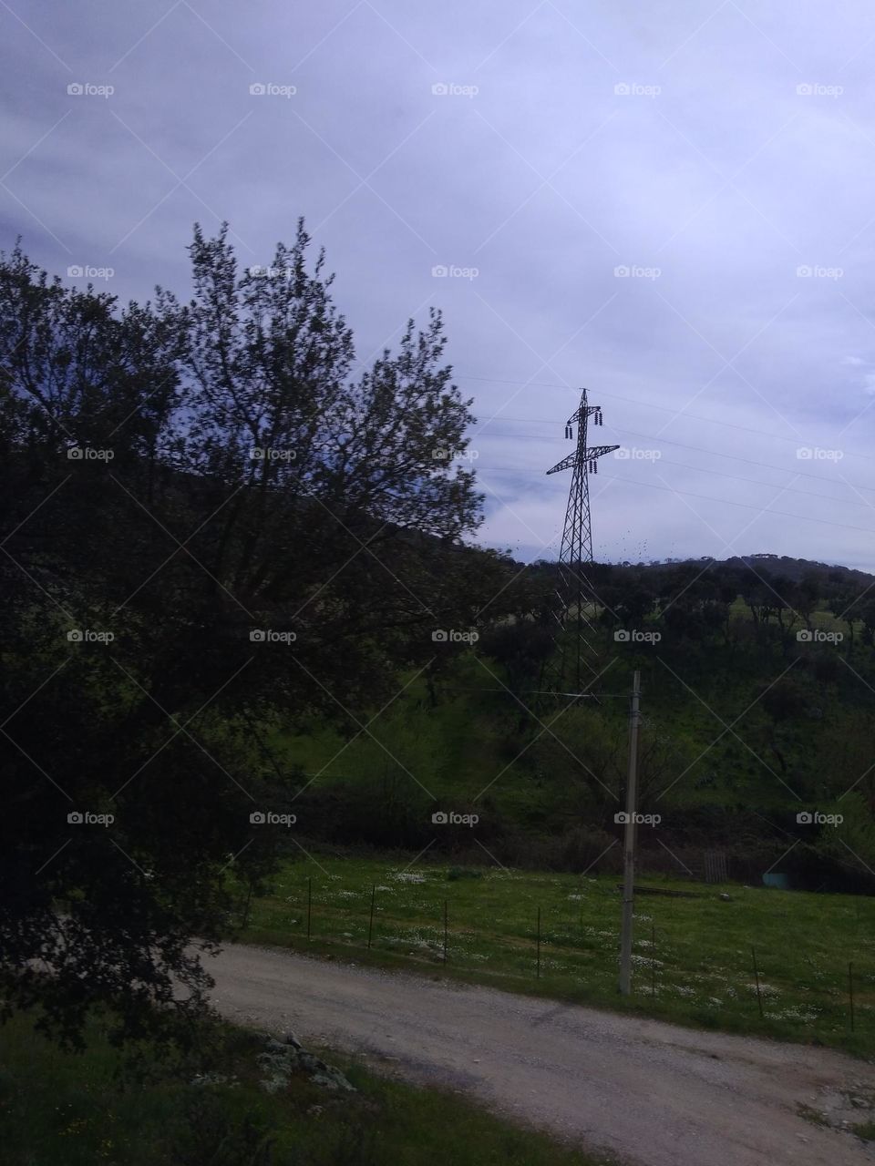 Editors' Choice: Photo of the Week