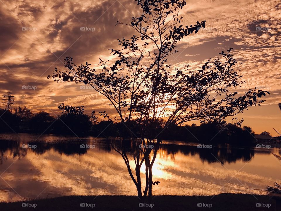 Gorgeous Golden setting for a Very Complex Sunset. Reflections of Sky to Lakebed Waters are Precisely set by looking into a mirrored image of the Sky.