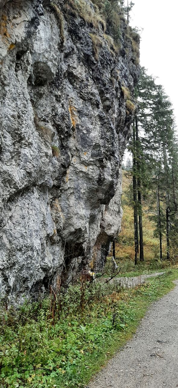 rock in the mountains