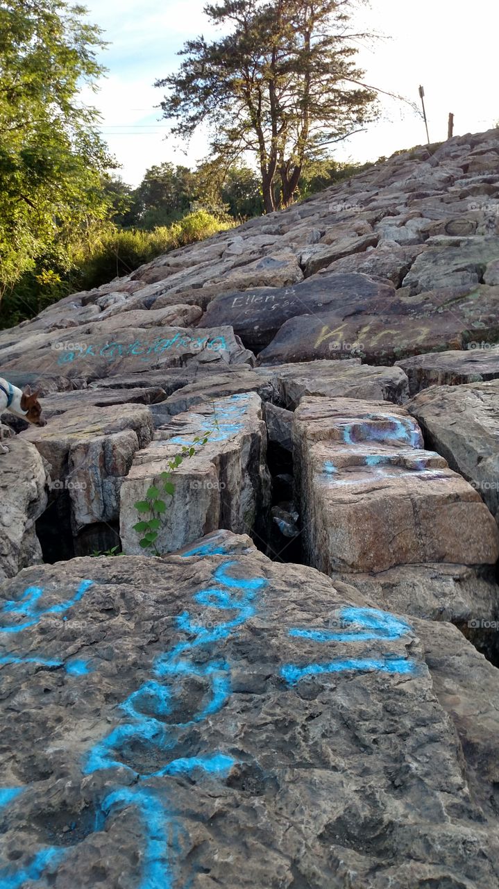 Rocks at Schuylkill Dam