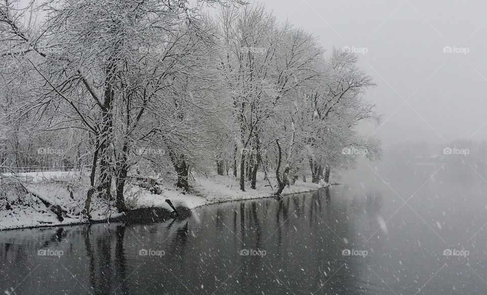 Winter On The River