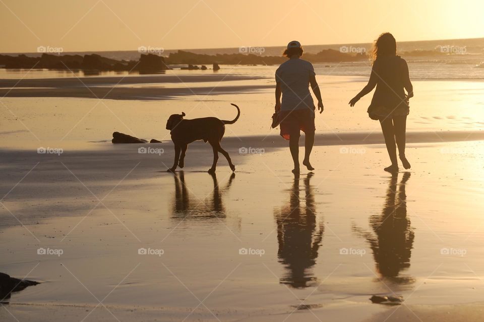 Walking in the beach at sunset 