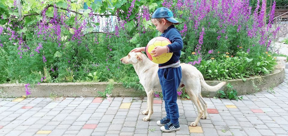 a boy with his dog