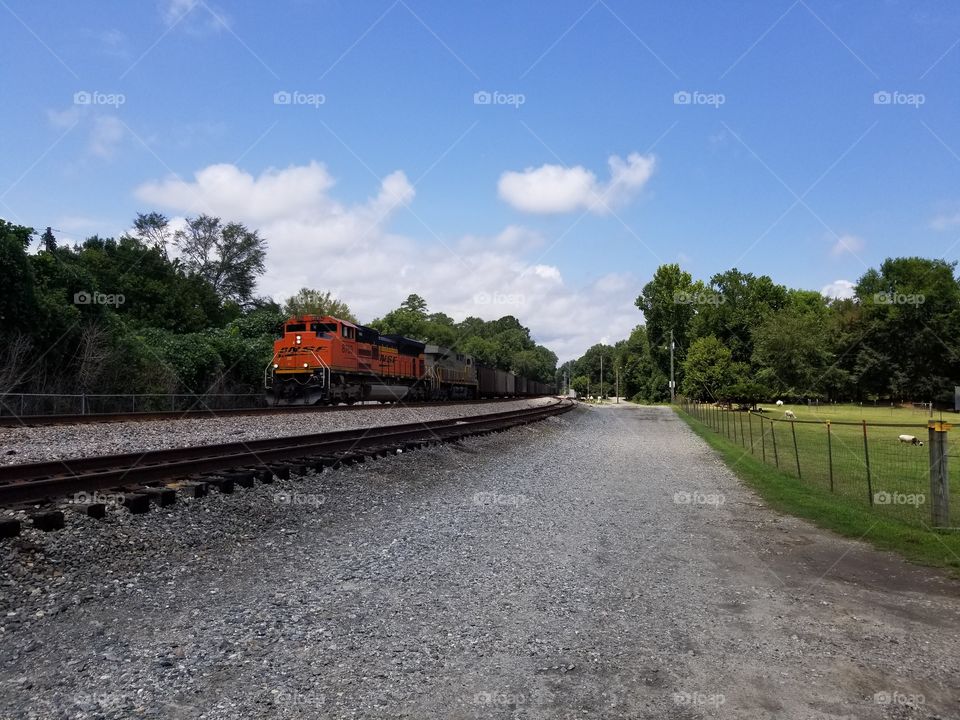 train to whistle stop cafe